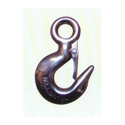 Stainless Steel Eye Hoist Hook with Latch